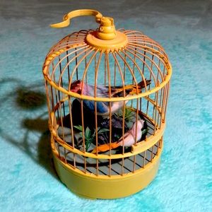 Mechanical Birds in a Bird Cage